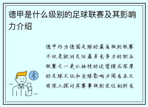 德甲是什么级别的足球联赛及其影响力介绍